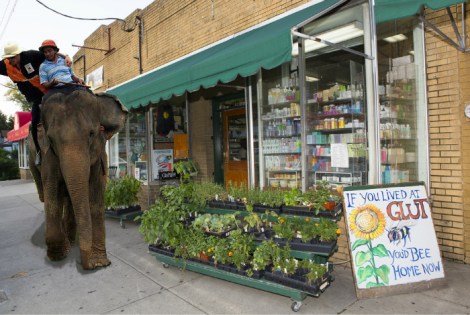 Council member Steve Abourzek models his vision for Mt. Rainier's future.